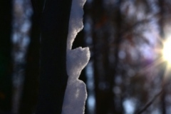 IMG-20210111-WA0002