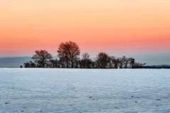 IMG-20210111-WA0007
