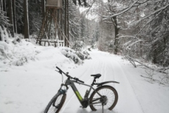 IMG-20210119-WA0004