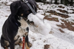 IMG-20210124-WA0006