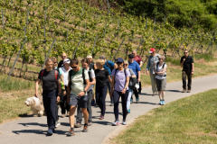 Frühlingswanderung 10.05.2025