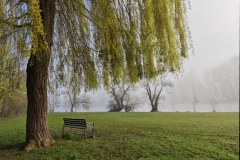 Halbmarathon-Training Abschlusslauf 29.03.2026