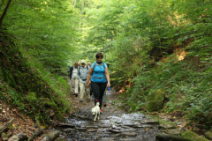 IMG_0225