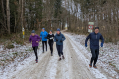 Neujahrslauf-2
