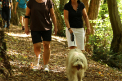 Sommerwanderung nach Miltenberg